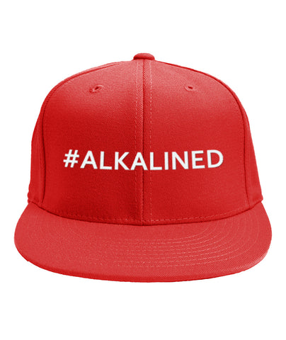 #ALKALINED Snapback Hat